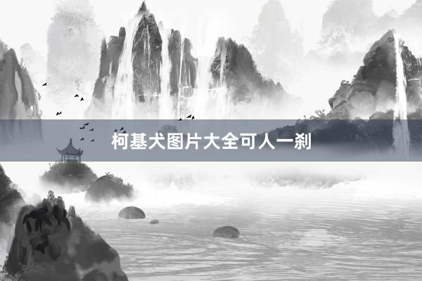 柯基犬图片大全可人一刹